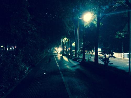 温暖的夜晚