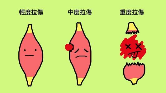 破碎和弄皱_500个单词