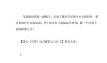 读完《乌塔》后我的感受是_450字