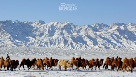 我住过的美丽星球