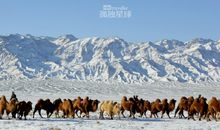 我住过的美丽星球读后感