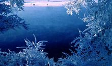 家是最美的风景