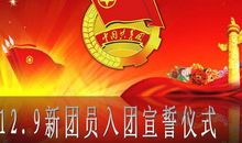 入团仪式上新团员代表的发言稿