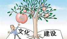 适合的，才是最好的