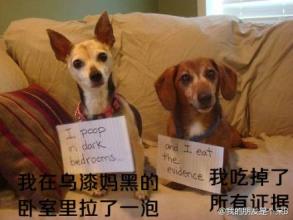 自我宽恕
