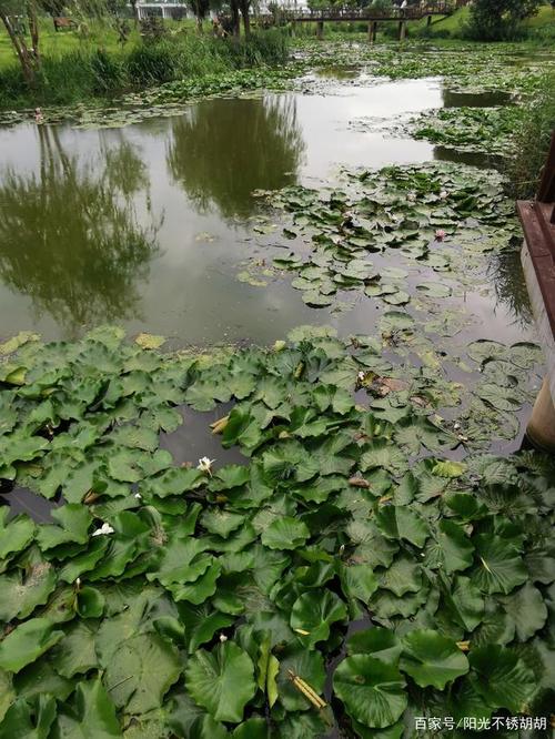 白沙河秋季游