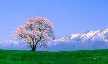 同样的风景，更深的感悟