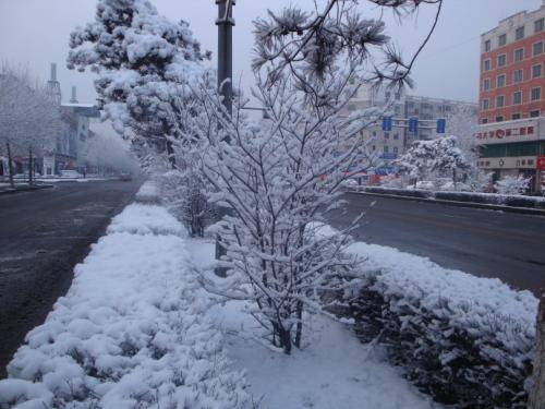春天下雪