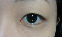 有这么一双眼睛