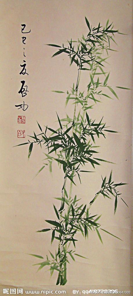 赞竹