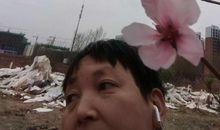 我的青春里有满山的桃花