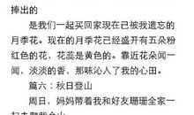 上了中学后_150字