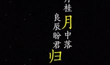 寂寞的中秋节_500字