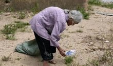 我最欣赏捡垃圾的她