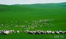 [2015新年心愿]飞到身旁_650字