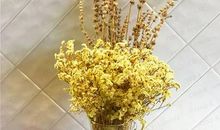 寻找人生的出口