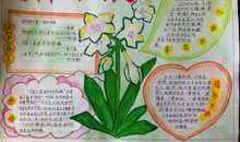 生活中处处有语文