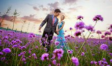 心中的那一抹紫