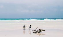 做一个幸福的人