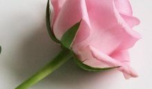 牢记在心中的相片