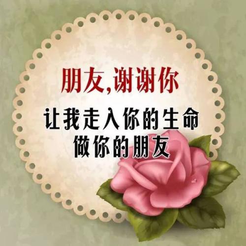 给我的两个最好的朋友200字