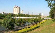 我家附近的湛河