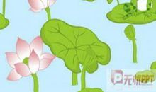 小青蛙找新家_450字