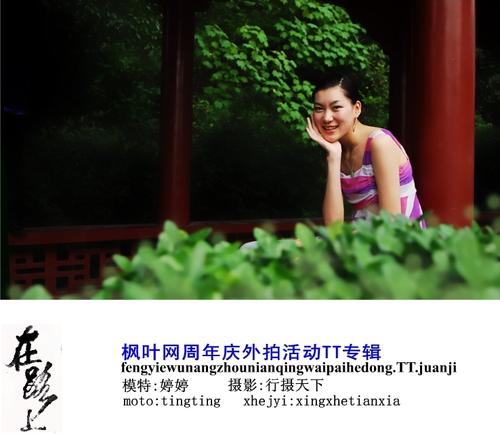 春天，走在路上