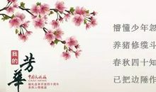 十六岁，我多了一份责任