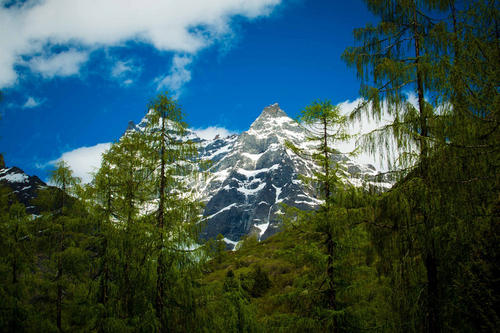 我最欣赏这风景