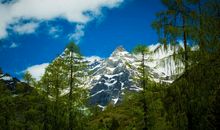 我最欣赏这风景
