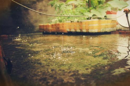 那雨