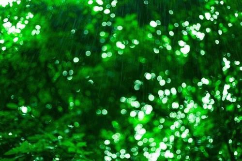 六月看雨