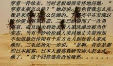 撒哈拉的故事读后感