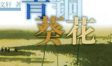 读《青铜葵花》有感