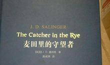 麦田里的守望者