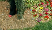 亲爱的校园，你真美