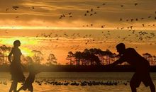 给心灵一个诗意的栖息地