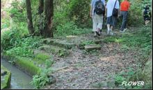 乐于助人的感觉真好