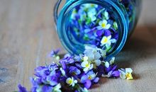 让生命的花香撒满人间