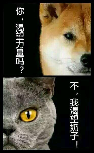 我渴望了解