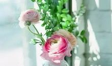 遇见春风里最美的微笑