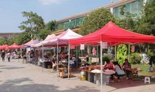 小熔炉——晨农农博园