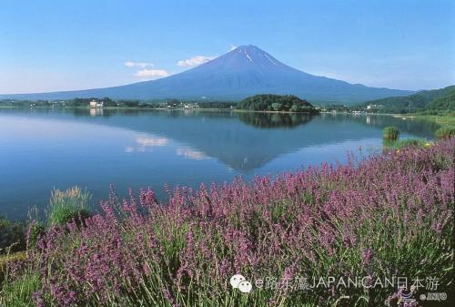 原来这也是风景
