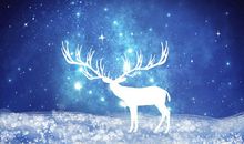 感悟，在星光下