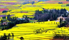 向往生活的春天