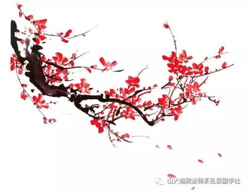 梅花之美