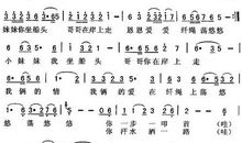 藏在什么里的爱