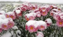 遇见，柔美的你