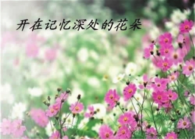 鲜花盛开在记忆深处